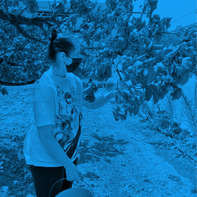 empleo_personalizado4