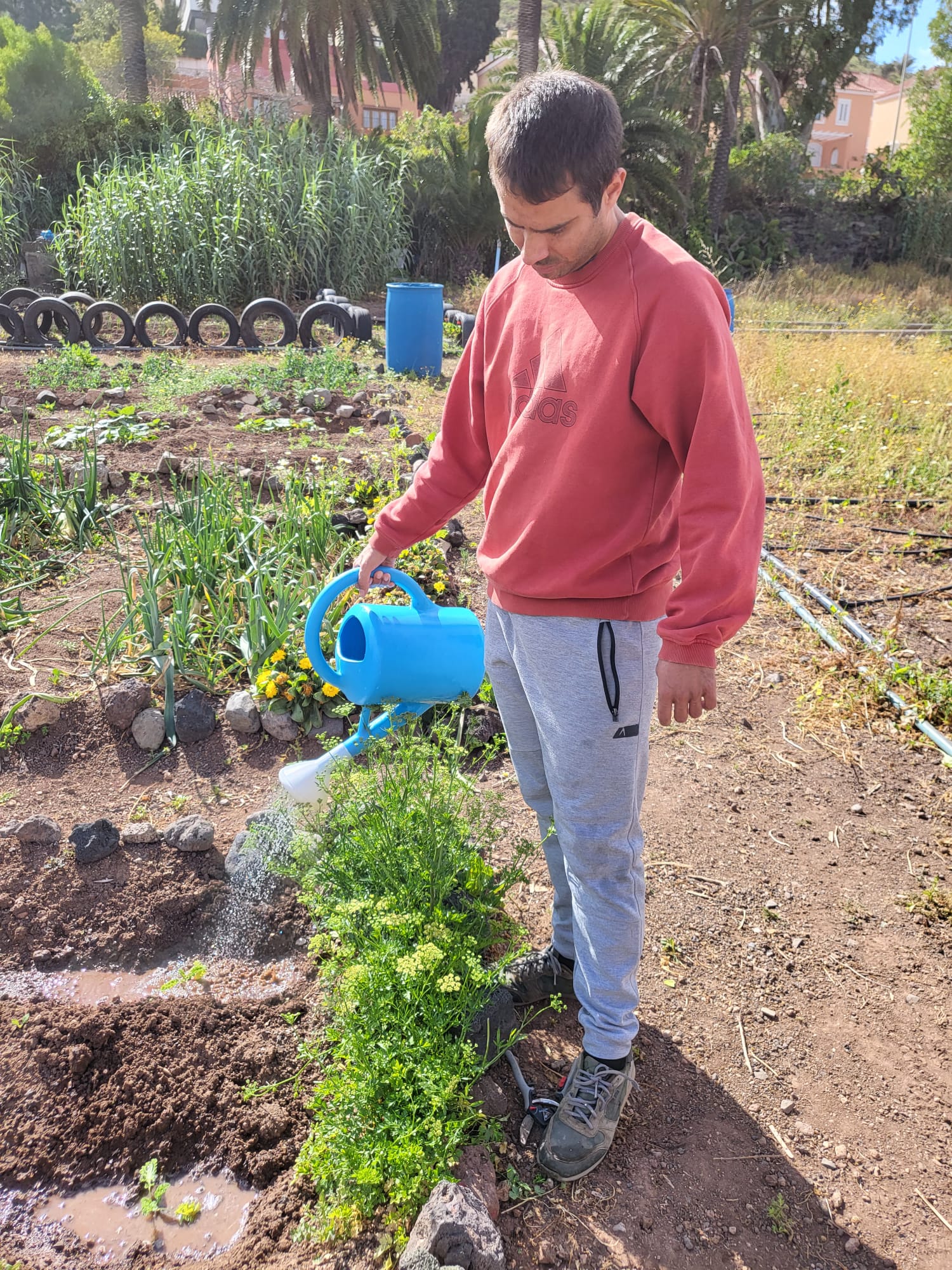 WhatsApp Image 2022-05-04 at 5.32.40 PM